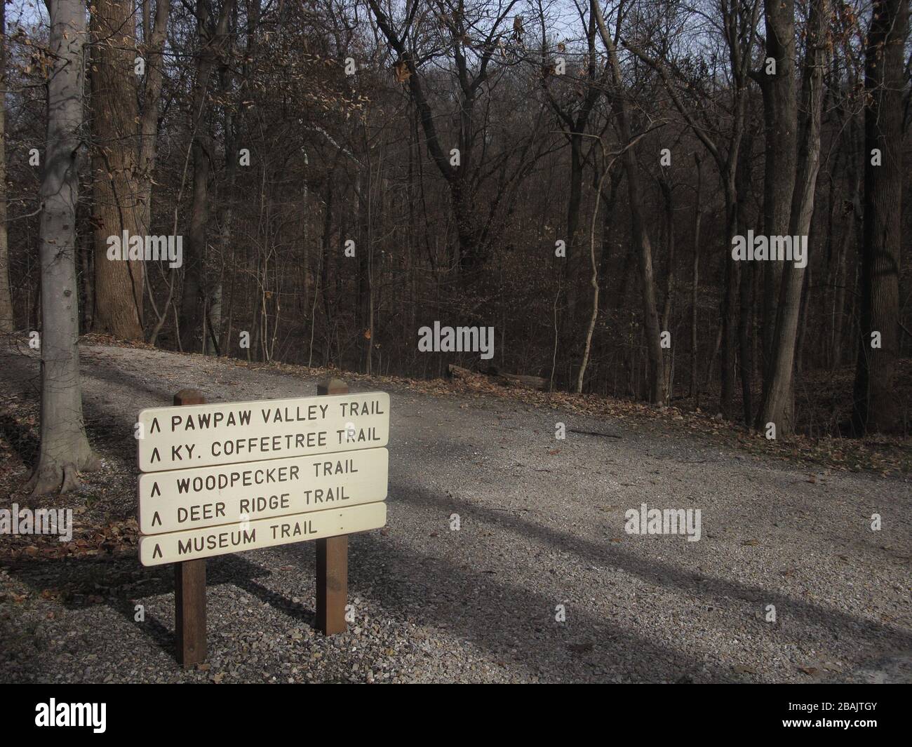 Walking trails in the woods in Audubon State Park, Henderson, Kentucky