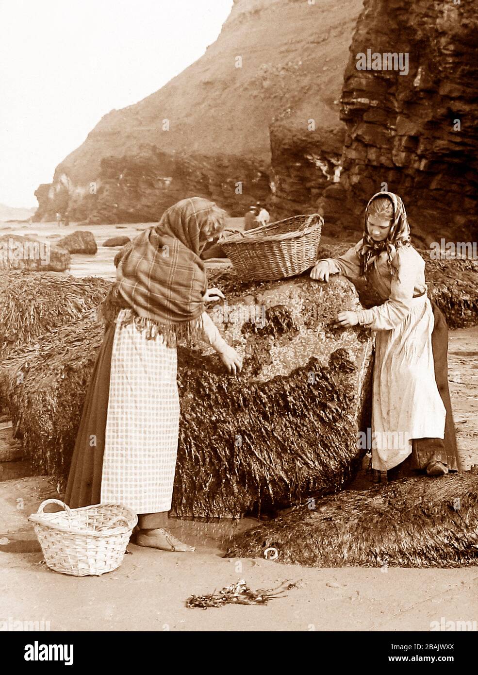 Gathering shellfish, Whitby, Victorian period Stock Photo - Alamy