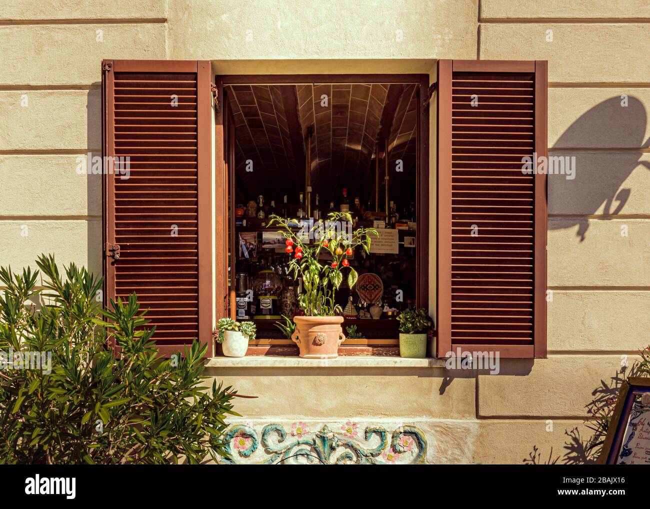 An open bar window with shutters and a chilli plant soaking up the hot afternoon sun on the window sill, Numana, Italy Stock Photo