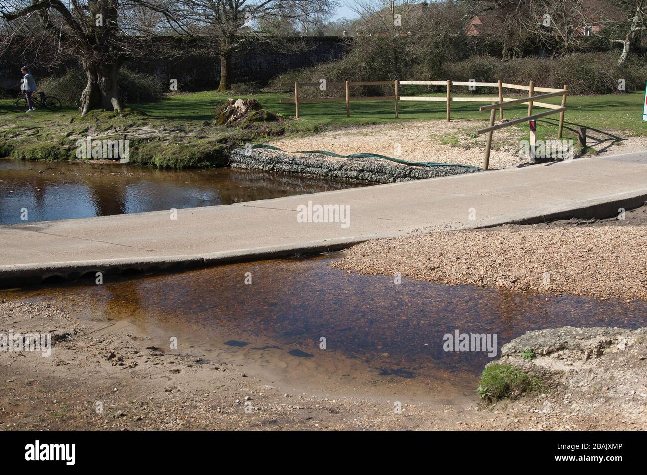 New Forest ancient woodland Hampshire Stock Photo Alamy