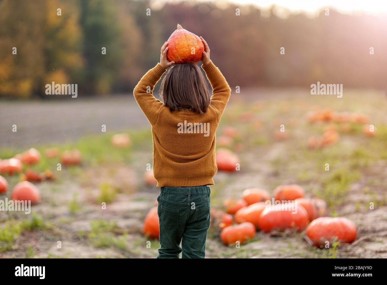 Cute little boy having fun in a pumpkin patch Stock Photo