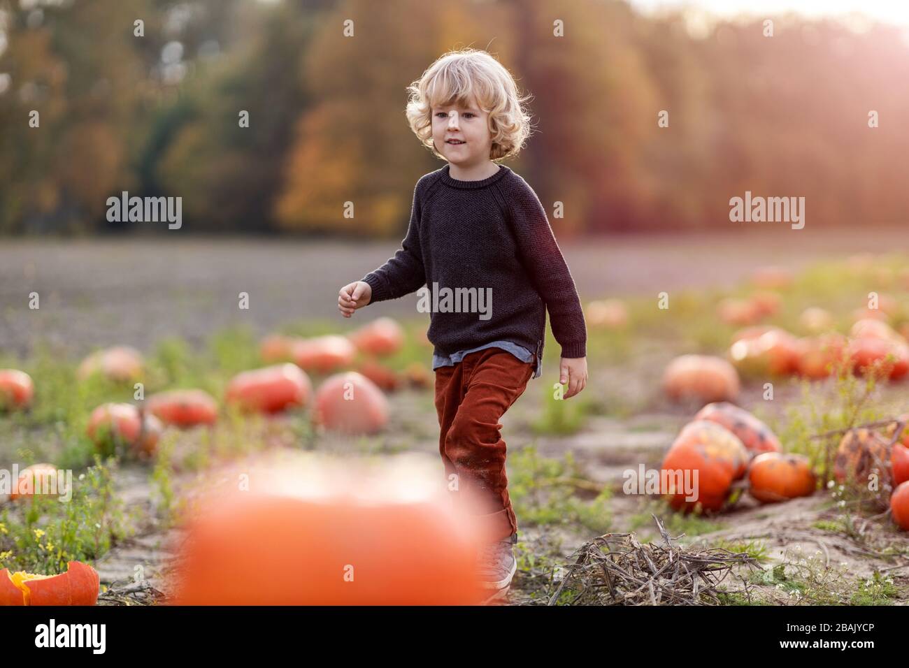 Cute little boy having fun in a pumpkin patch Stock Photo