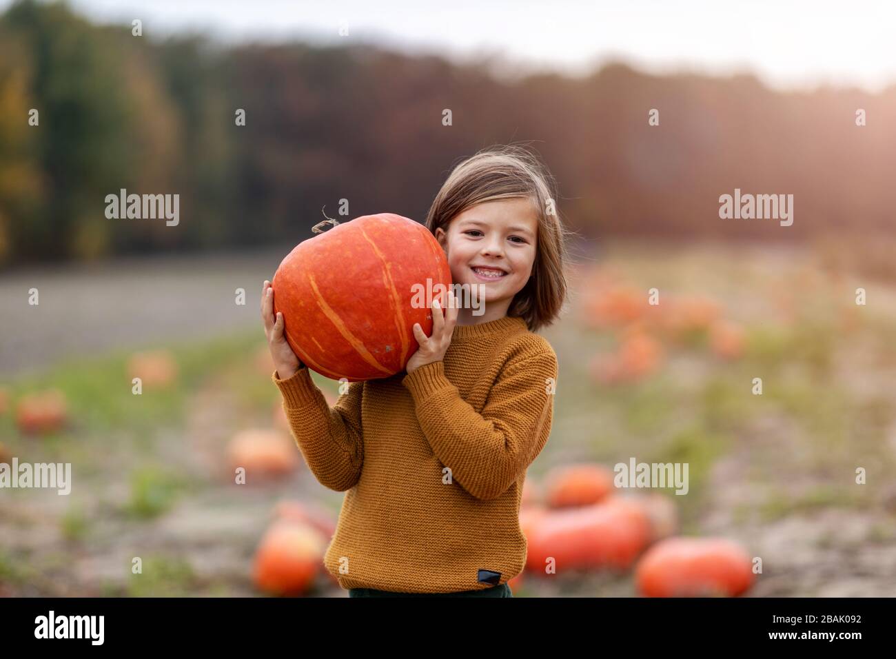 Cute little boy having fun in a pumpkin patch Stock Photo - Alamy