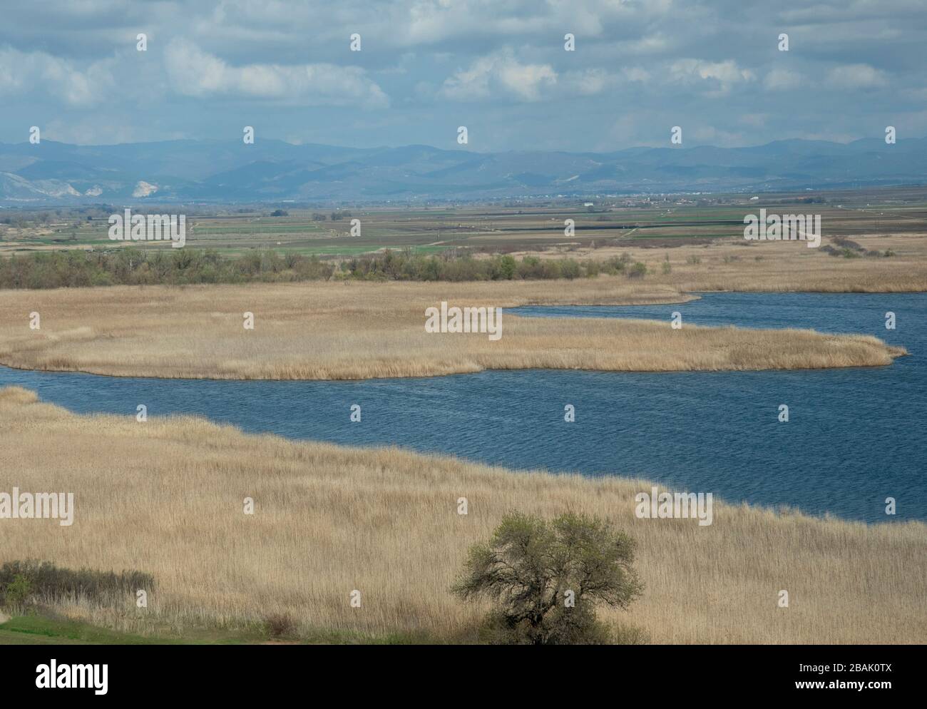 Reedbeds and open water at Lake Ismarida, part of National Park of Nestos Delta and lakes Vistonida-Ismarida. Stock Photo