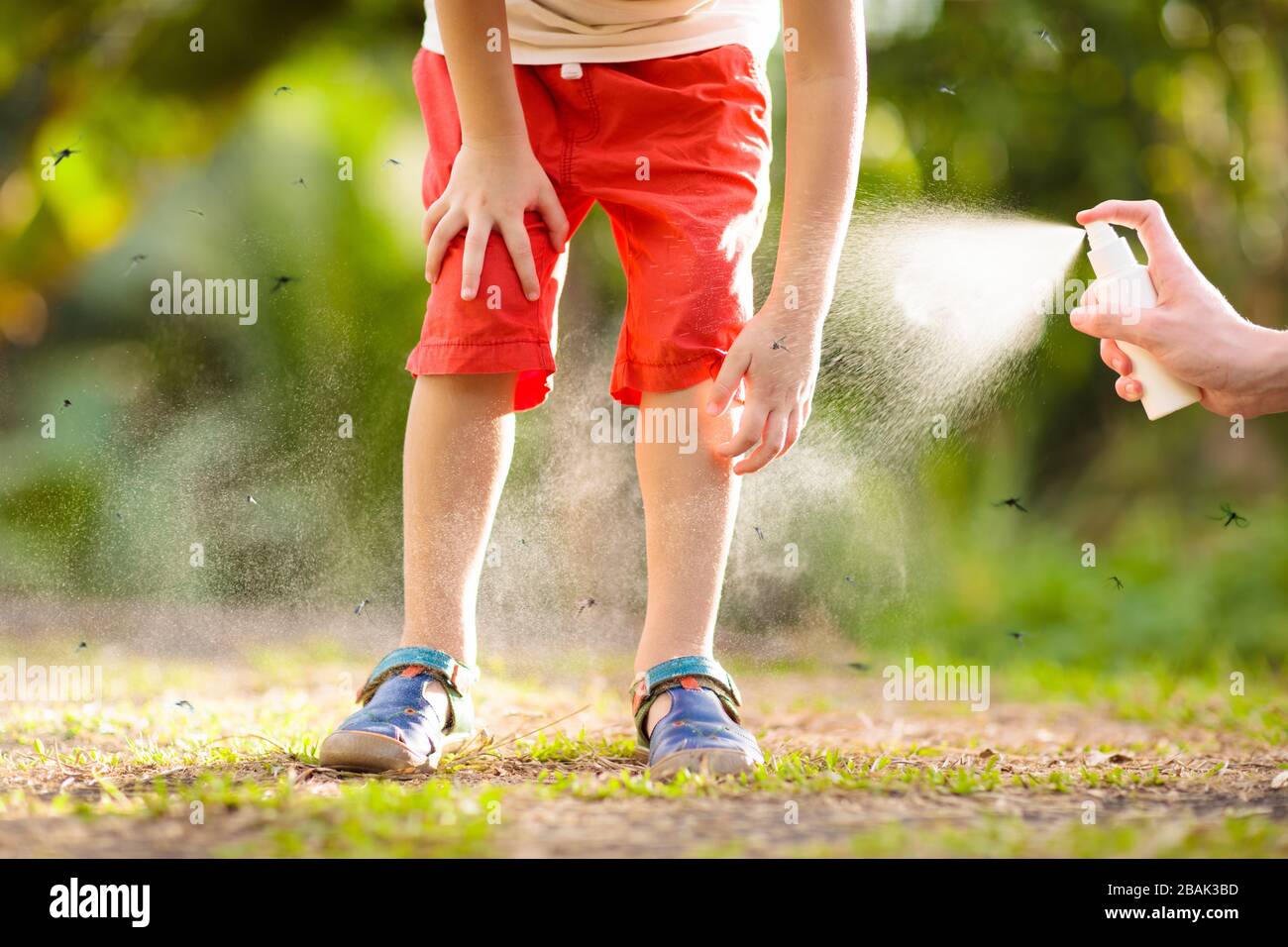 Dengue Fever Prevention High Resolution Stock Photography and 