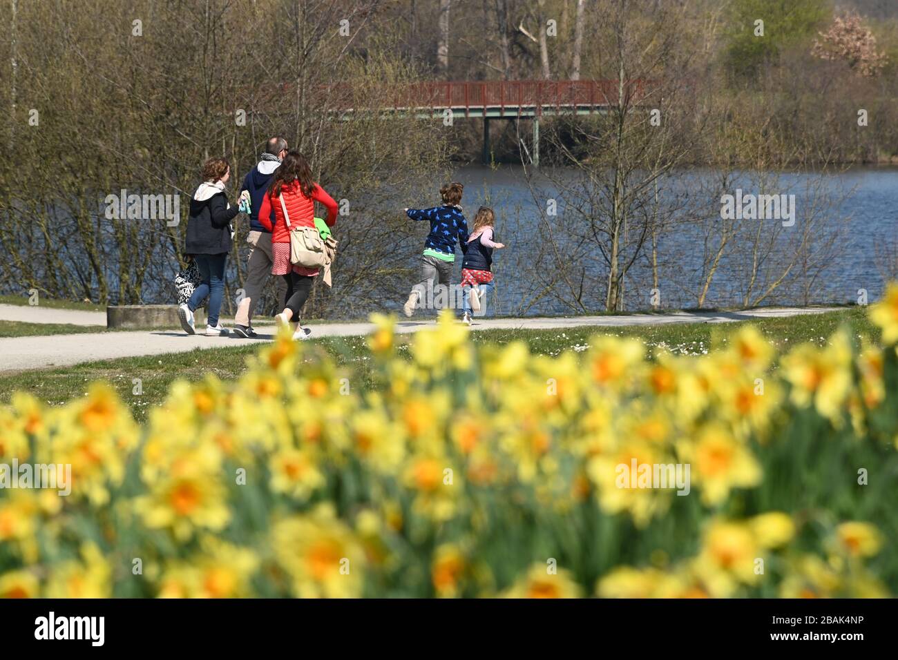 Kassel, Germany. 28th Mar, 2020. A family is on the move in the Fuldaaue, where the daffodils bloom yellow. For Sunday (29.03.2020) the meteorologists in Northern Hesse have announced snowfalls down to the lowlands. Credit: Uwe Zucchi/dpa/Alamy Live News Stock Photo