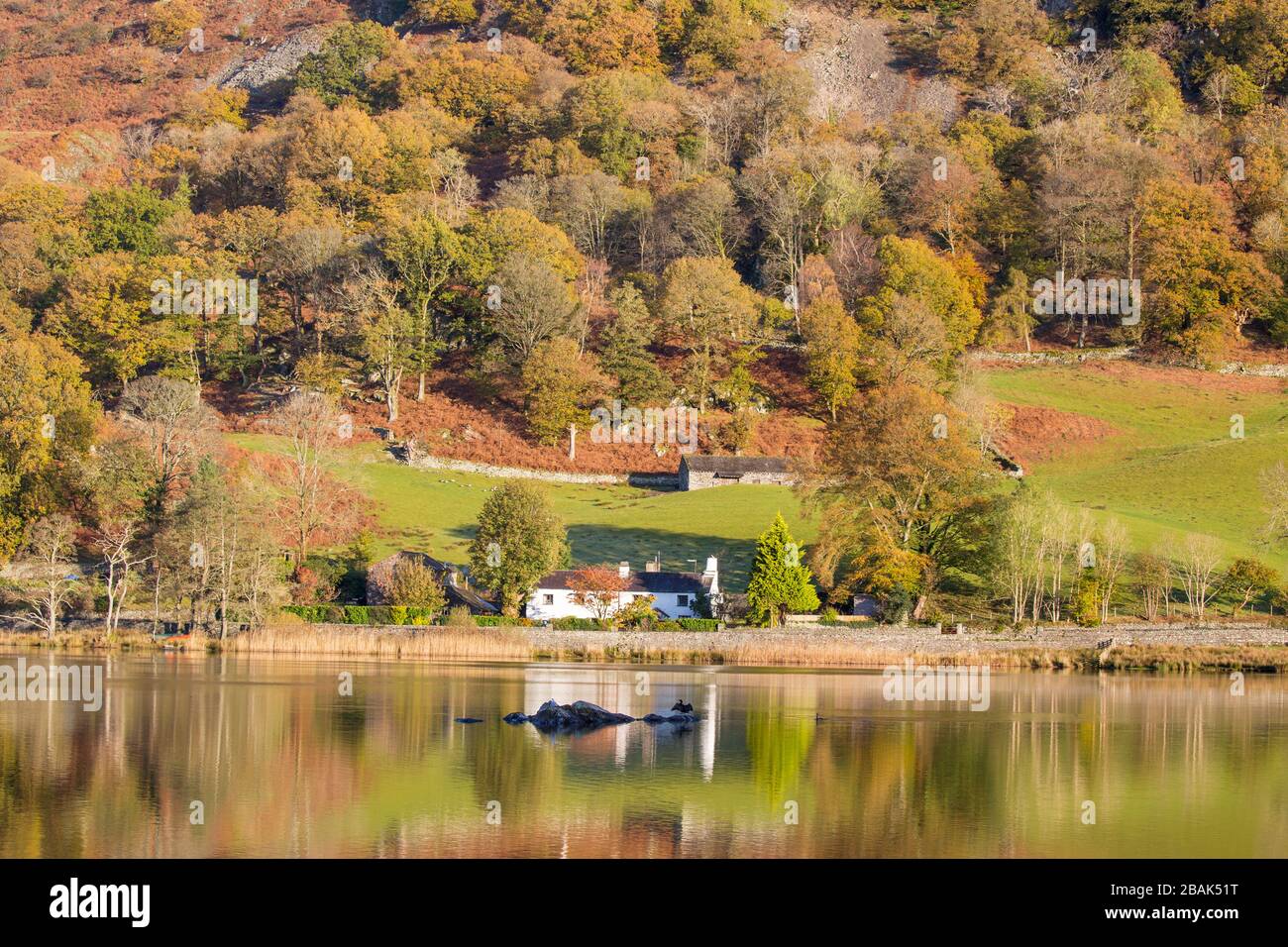 Rydal Water Lake District Cumbria England Stock Photo
