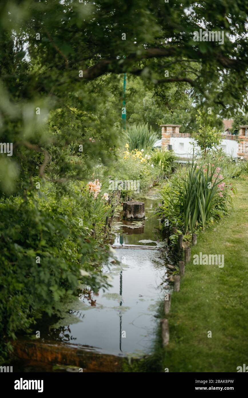 A small river in the forest. Nature and spring Stock Photo - Alamy