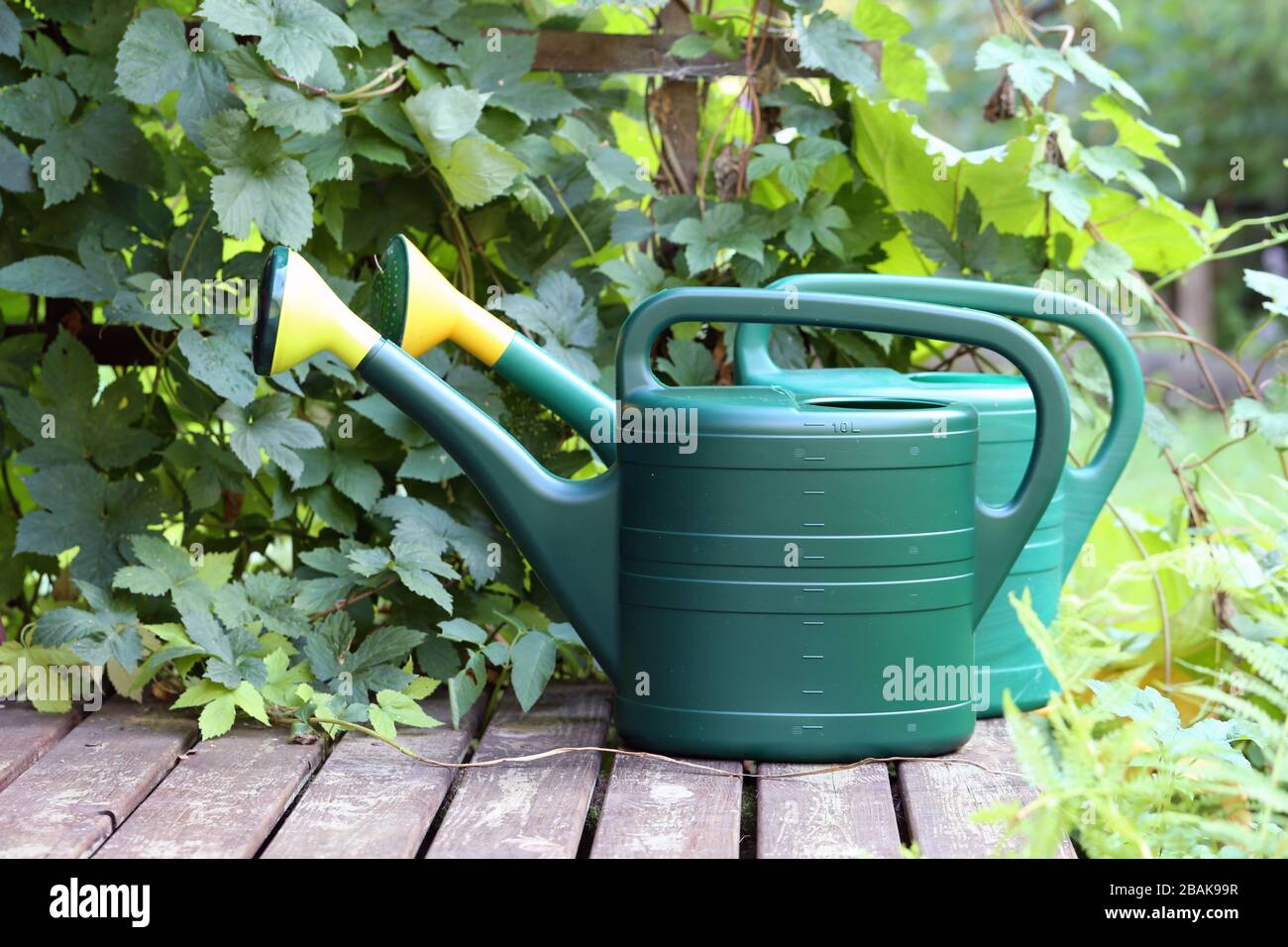 Two big green watering cans on a porch of a summer cottage located in Finland. The porch is brown and wooden, and there is also green leafy plants. Stock Photo