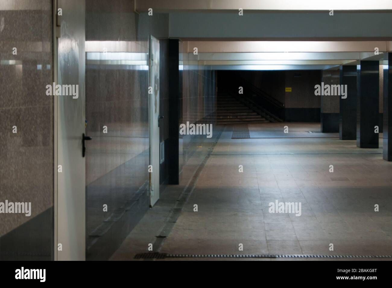 An empty underpass in marble. Columns and light create rhythm