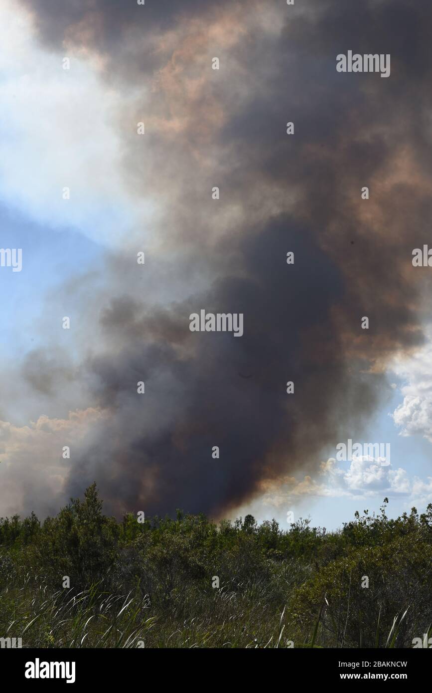 smoke, vegetation, trees, mountains, 2014, Cuba Stock Photo