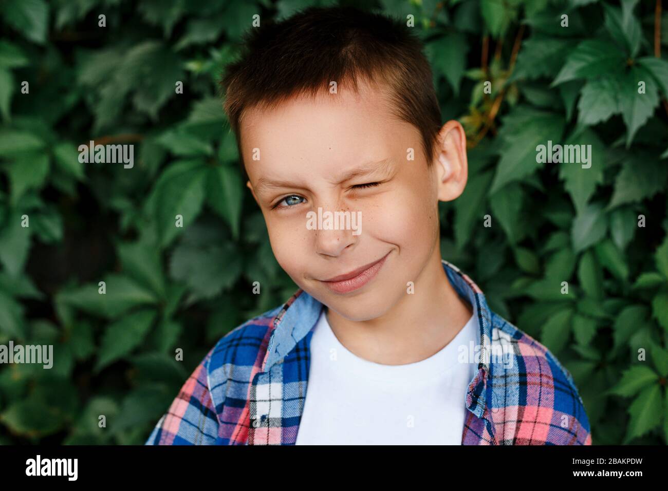 Portrait of beautiful winking little boy in a shirt in park Stock Photo