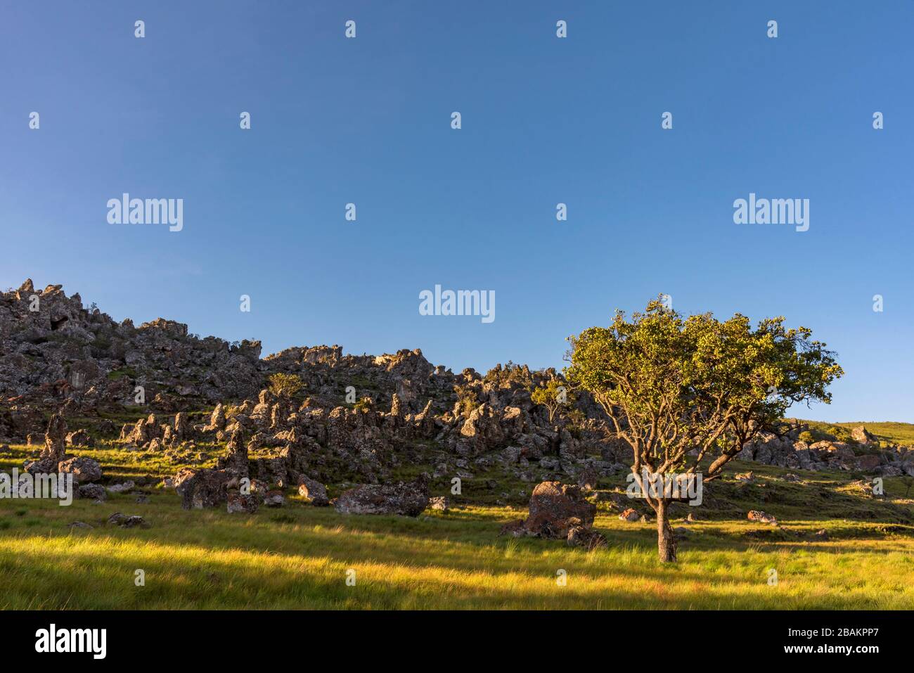 Unique rock formations in Zimbabwe's Chimanimani mountains Stock Photo ...