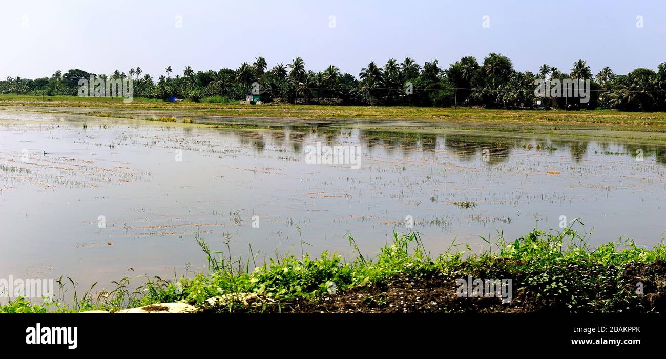 Water logged street hi-res stock photography and images - Alamy