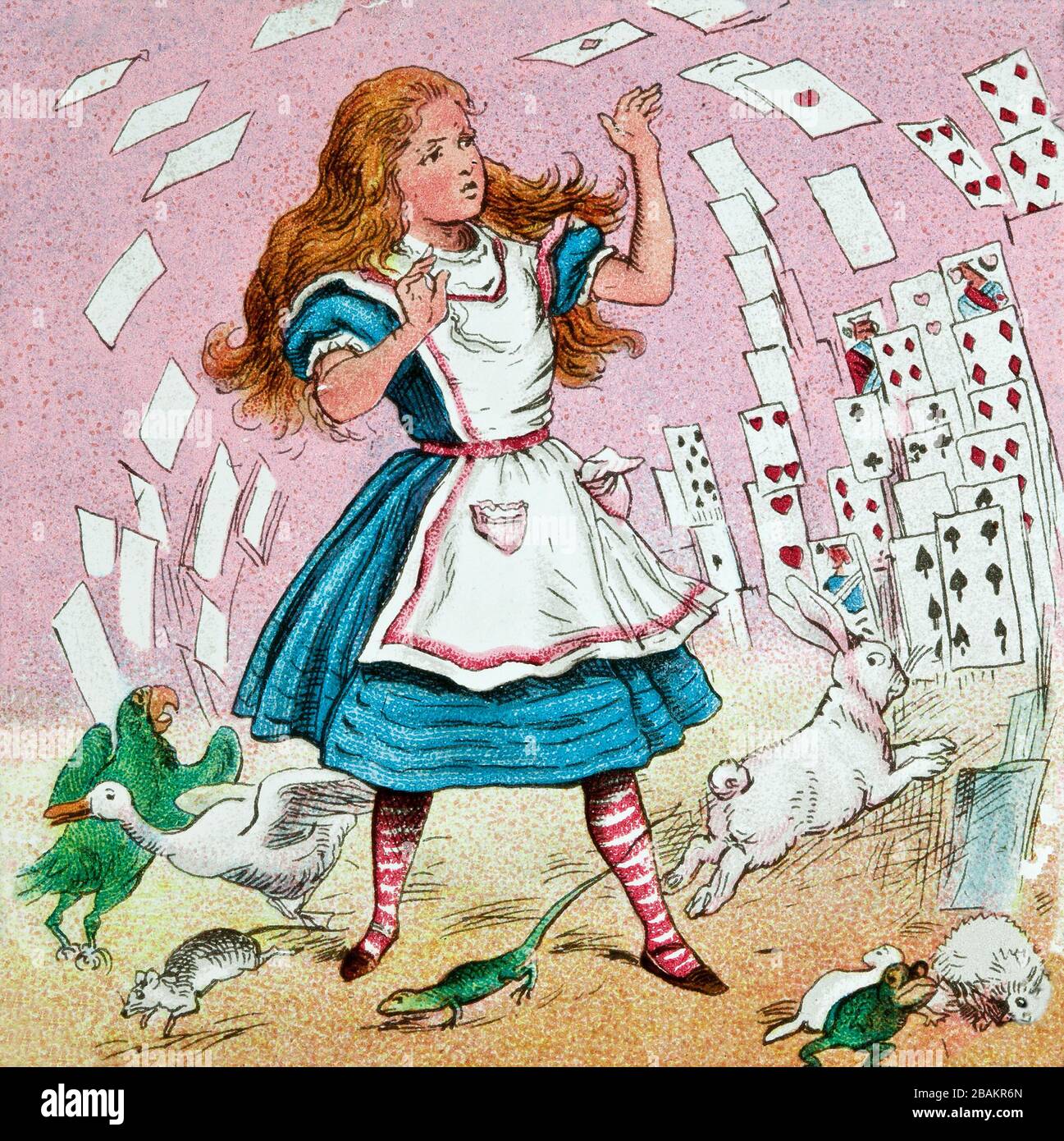 Larger Child World Book Day-Lewis Carroll-Alice in Wonderland-FOOTMAN//Prince