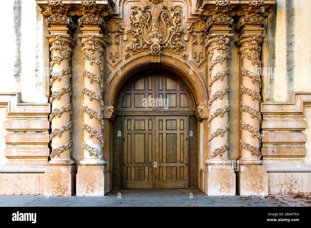Arched oak wood door in an old building framed by columns with ornate