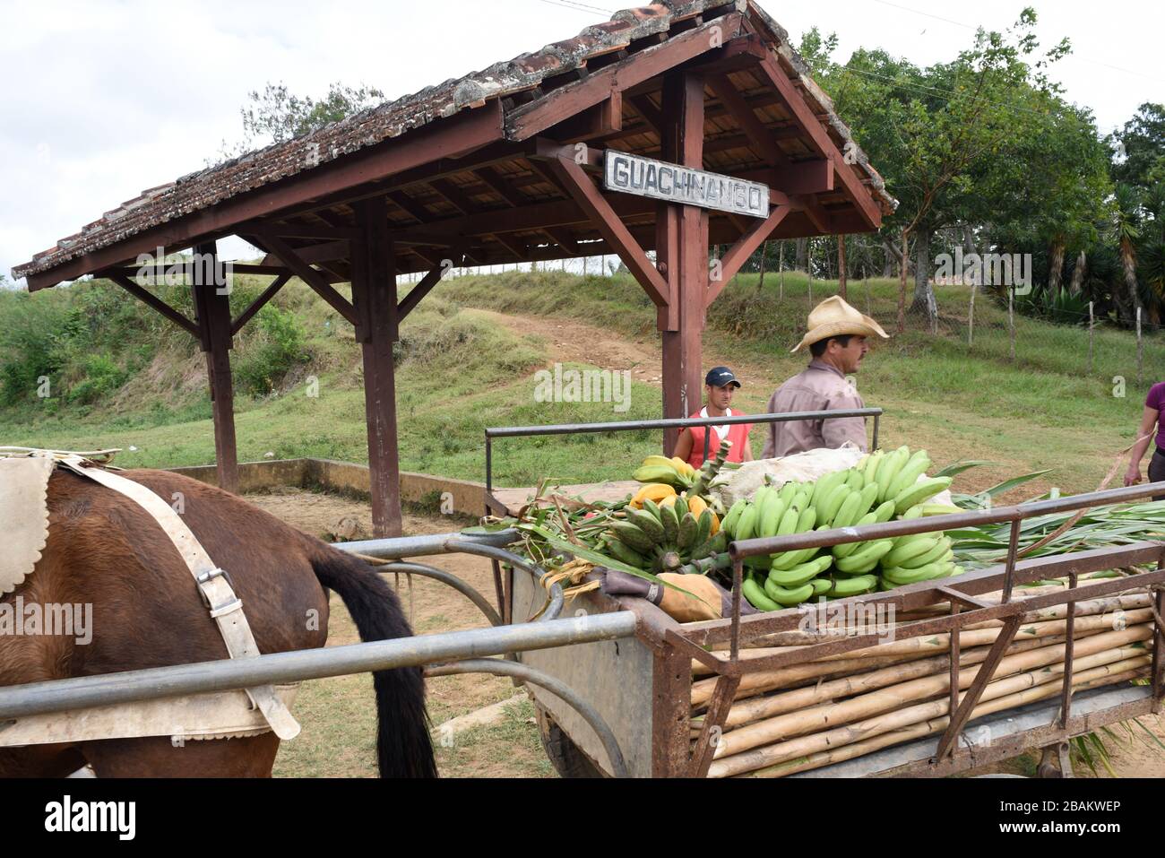 People, Men, Carriage, Fruits, train, 2014, Cuba Stock Photo