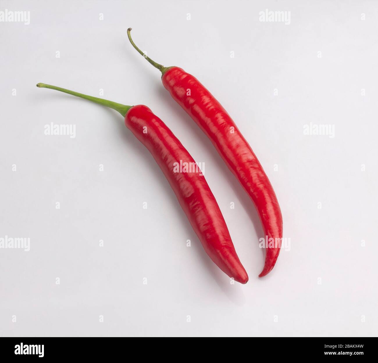 Red chili peppers isolated on white background Stock Photo - Alamy