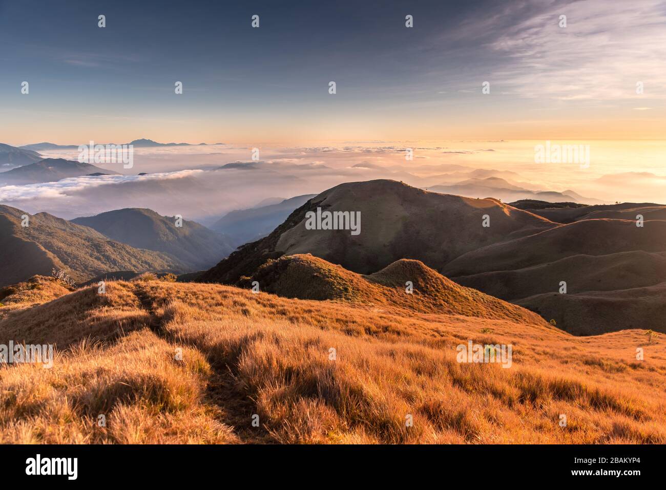 Scenic view of the sea of clouds at the summit of  Mount Pulag National Park, Benguet, Philippines. Stock Photo