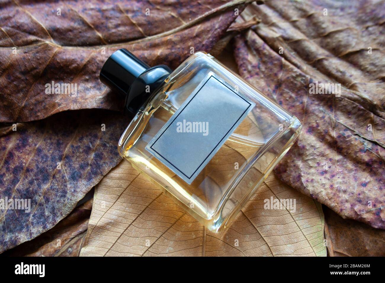 Rectangular glass perfume bottle on dry bronze leaves Stock Photo