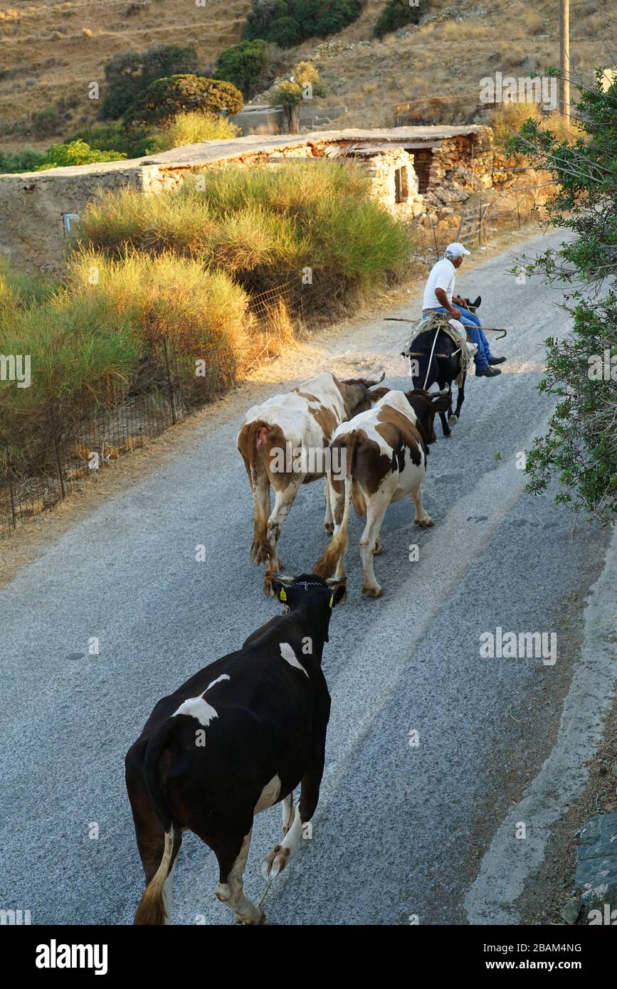 Rural scene europe hi-res stock photography and images - Alamy