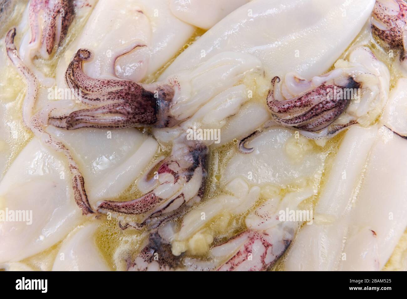 High angle view of squids marinating in olive oil and garlic Stock