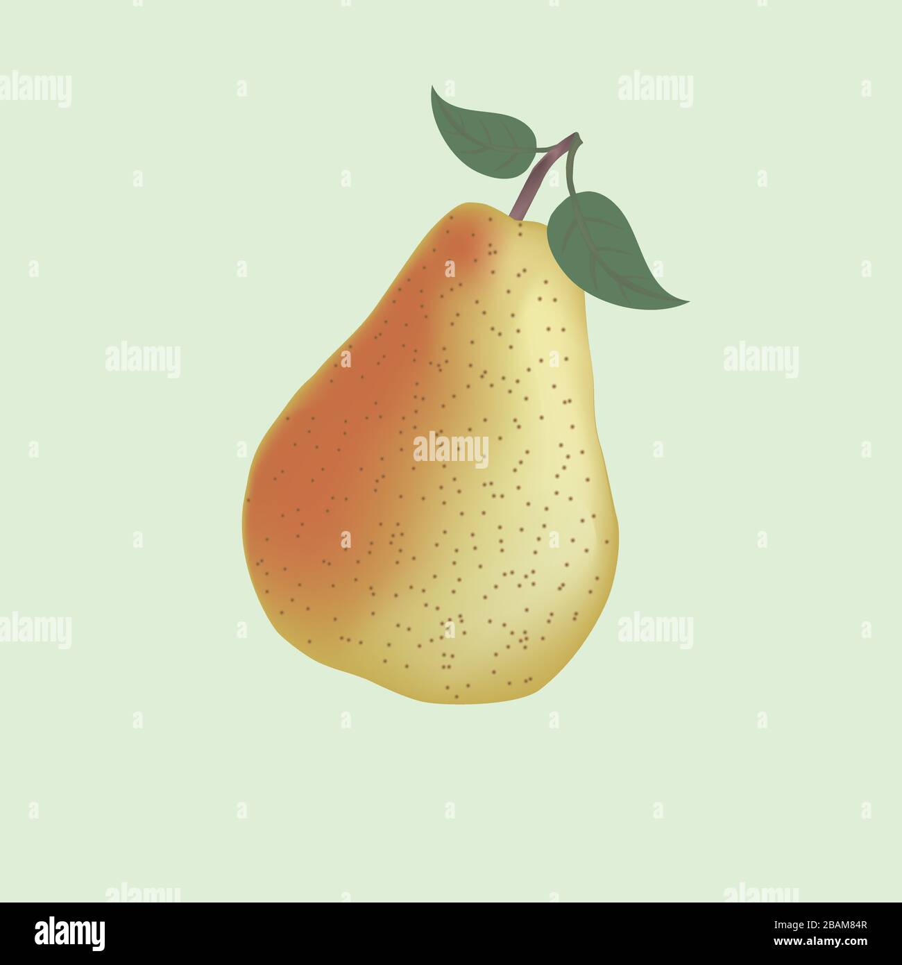 Realistic yellow pear fruit vector symbol Stock Vector Image & Art - Alamy