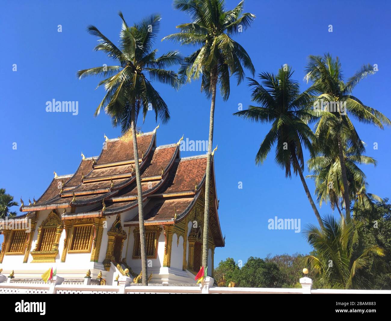 Laos Traditional Buddhist Temple with Big Palm Trees in Luang Prabang, Laos Republic Stock Photo