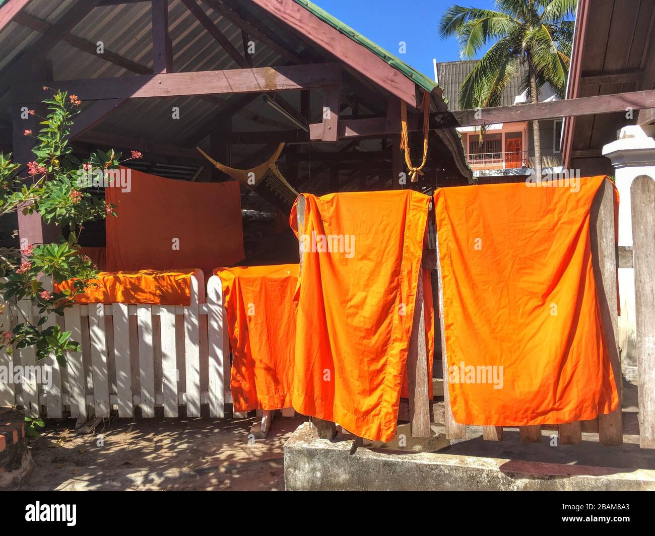 Orange colored Clothes Laundry of Laos Buddhist Monks getting dried on the white fence in temple, Luang Prabang, Laos Republic Stock Photo