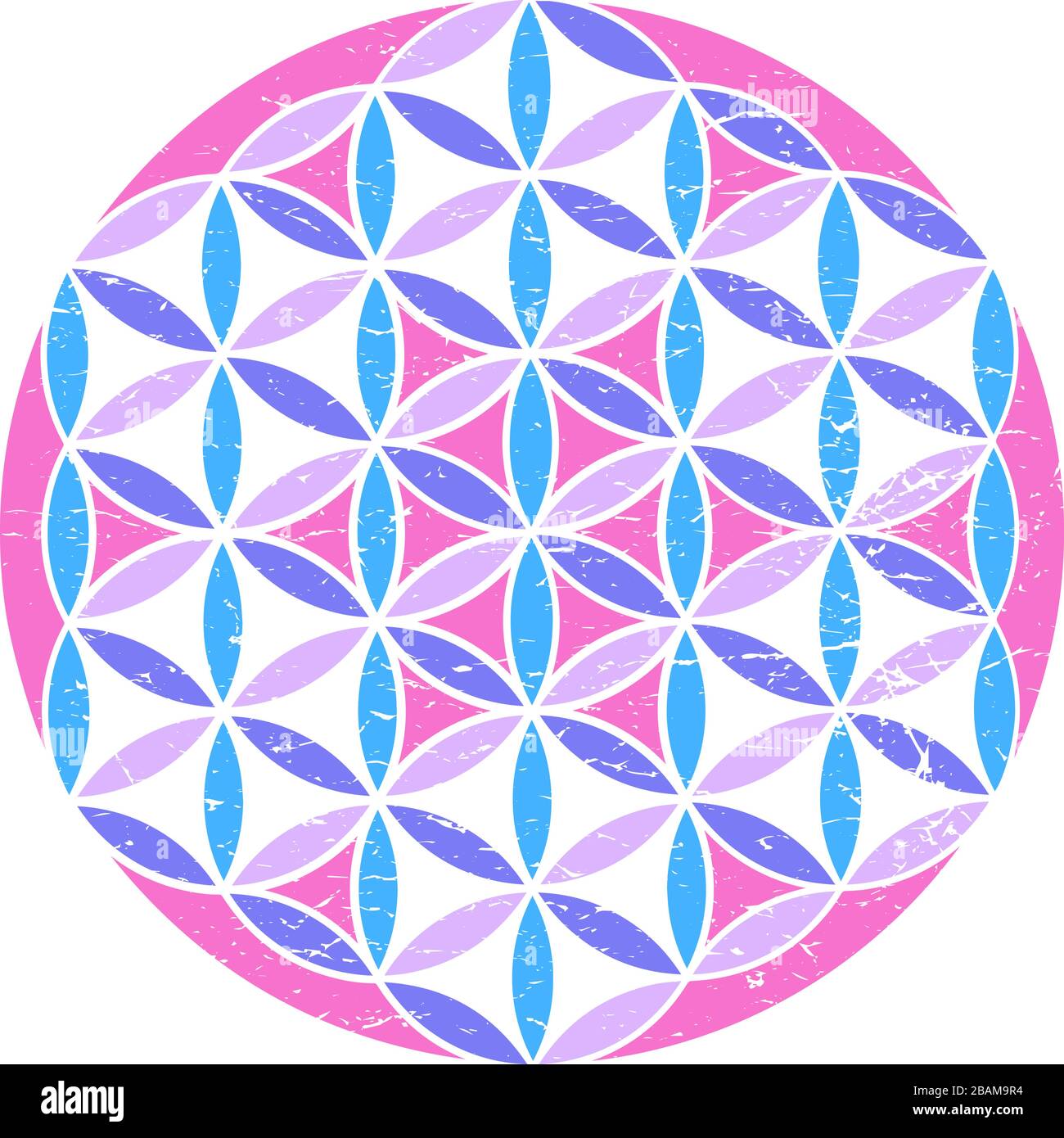 Sacred Geometry Flower of Life psychedelic colors isolated vector illustration. Stock Vector