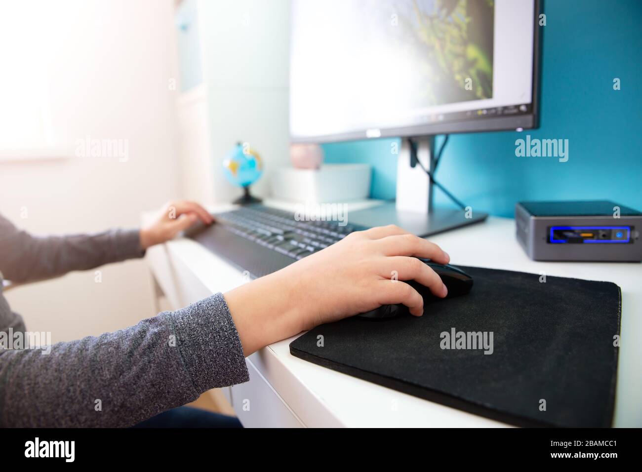 nine years old child using pc at home Stock Photo Alamy