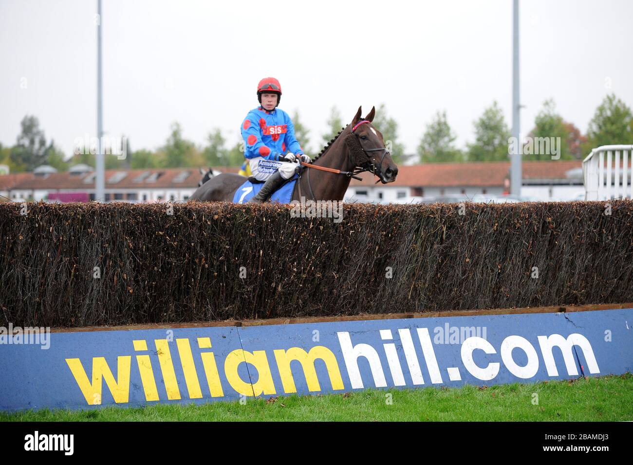 Oscar Papa ridden by Denis O'Regan before the williamhill.com Handicap Chase Stock Photo