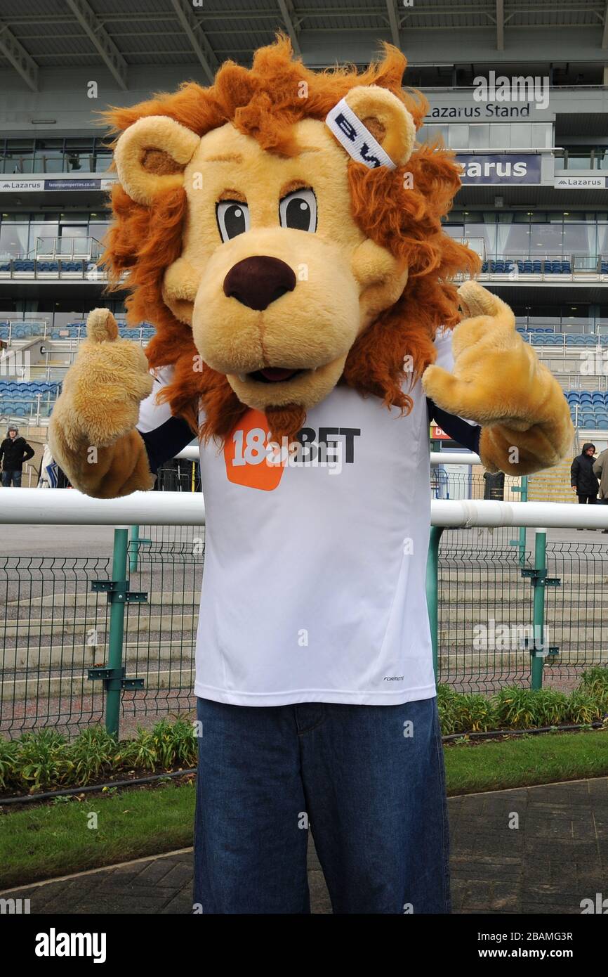 Bolton Wanderers mascot Lofty in the parade ring before the Football League Mascot Race, in support of Prostate Cancer UK. Stock Photo