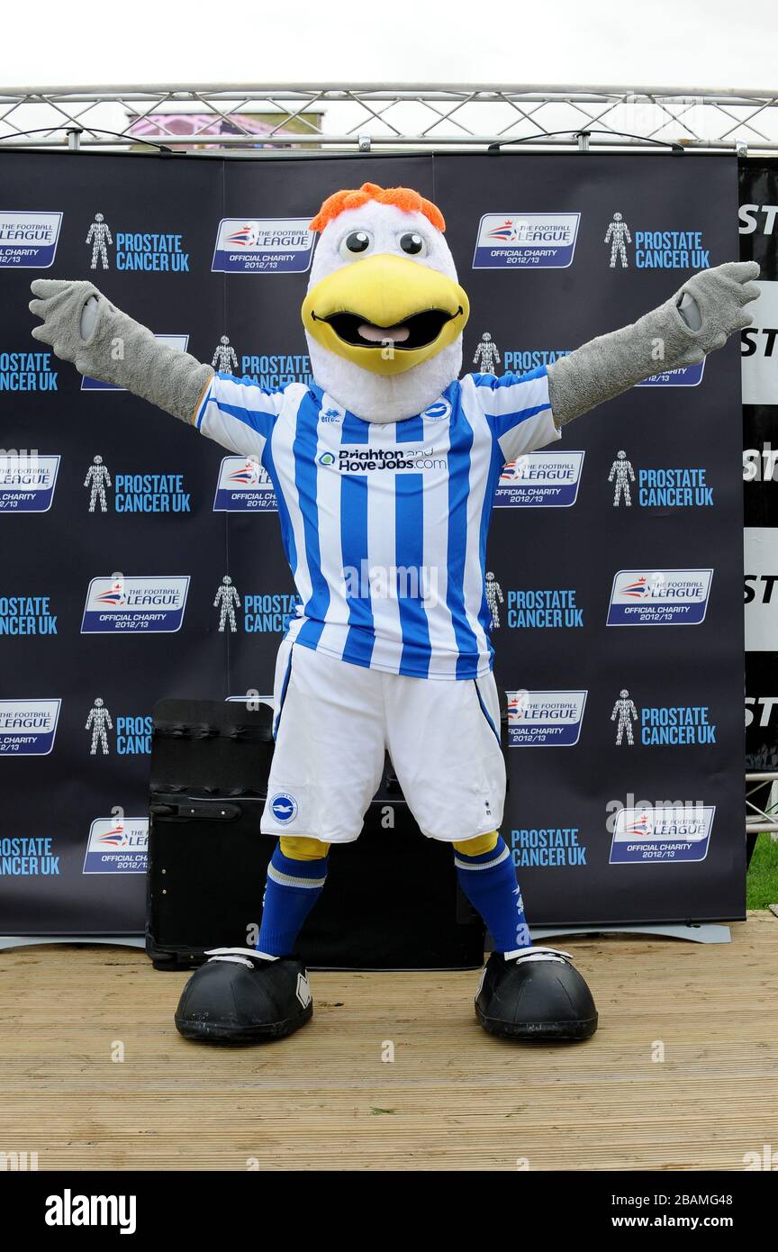 Brighton and Hove Albion mascot Gully, following the Football League Mascot Race, in support of Prostate Cancer UK. Stock Photo
