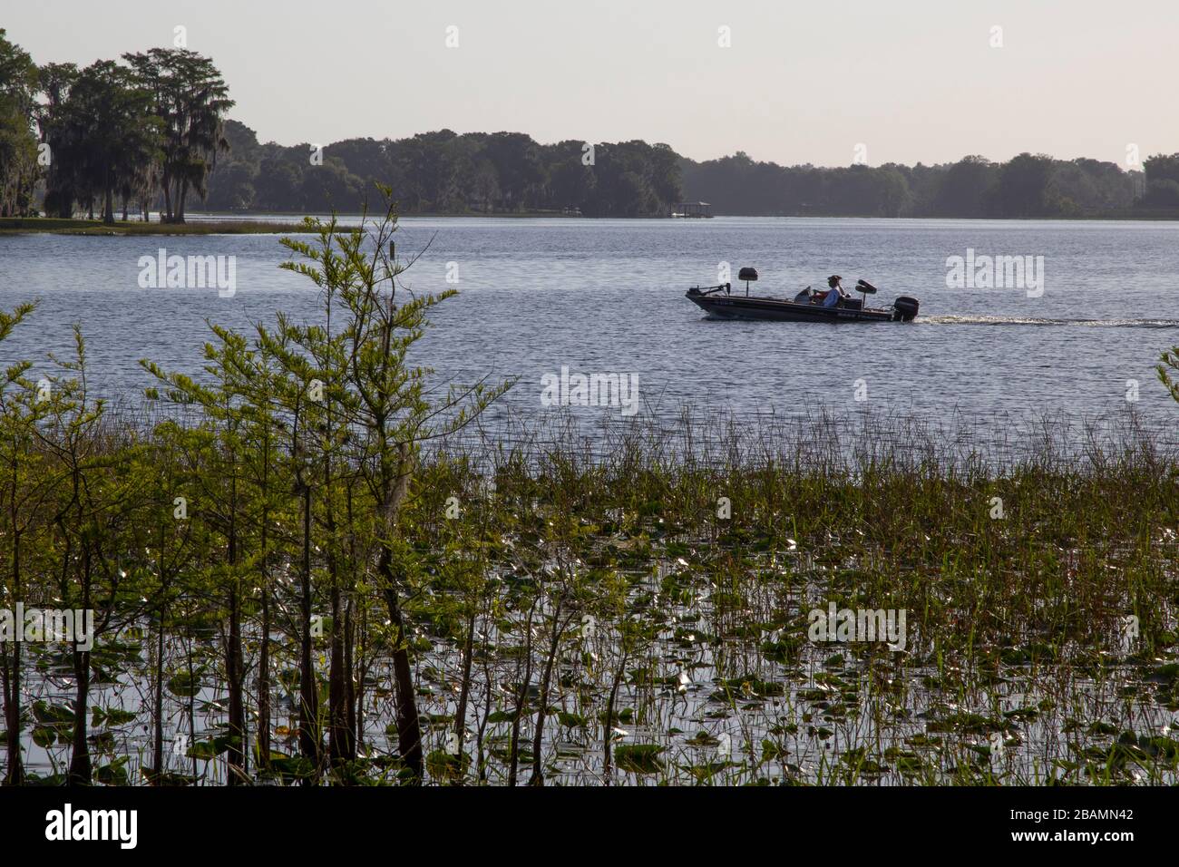 Boating on a central Florida lake Stock Photo Alamy