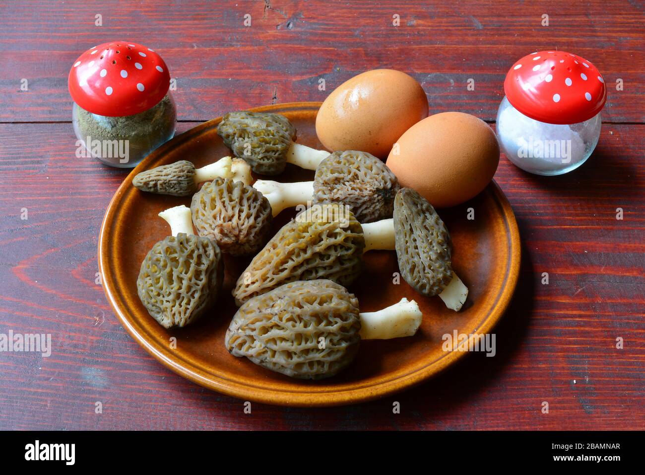 Quick forester's breakfast,fresh  Black morel mushrooms, eggs, salt and pepper waiting for preparation in brown ceramic plate on mahogany table Stock Photo