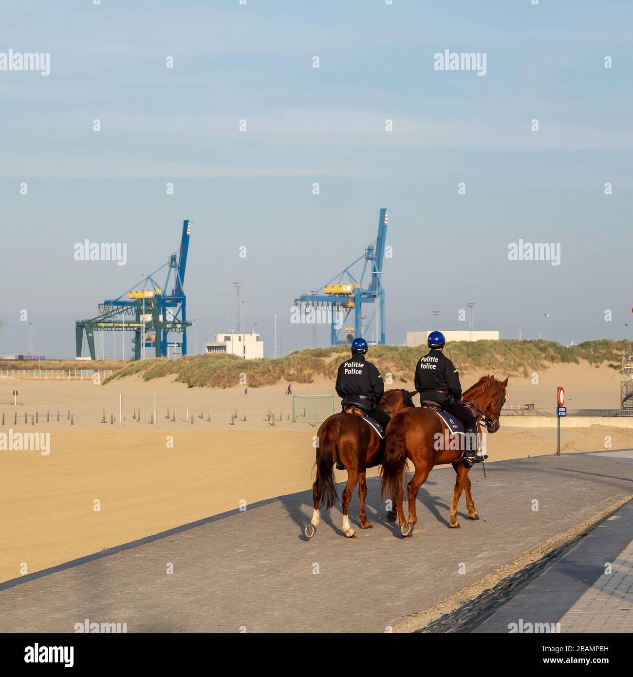 Zeebrugge, Belgium - 31 October 2019: Two Belgian police agents on horses on the beach of Zeebrugge, with cargo cranes of the port in the background Stock Photo