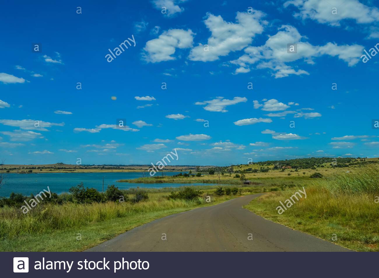 Blue sky landscape of Rietvlei nature reserve with dam in the background  Stock Photo - Alamy