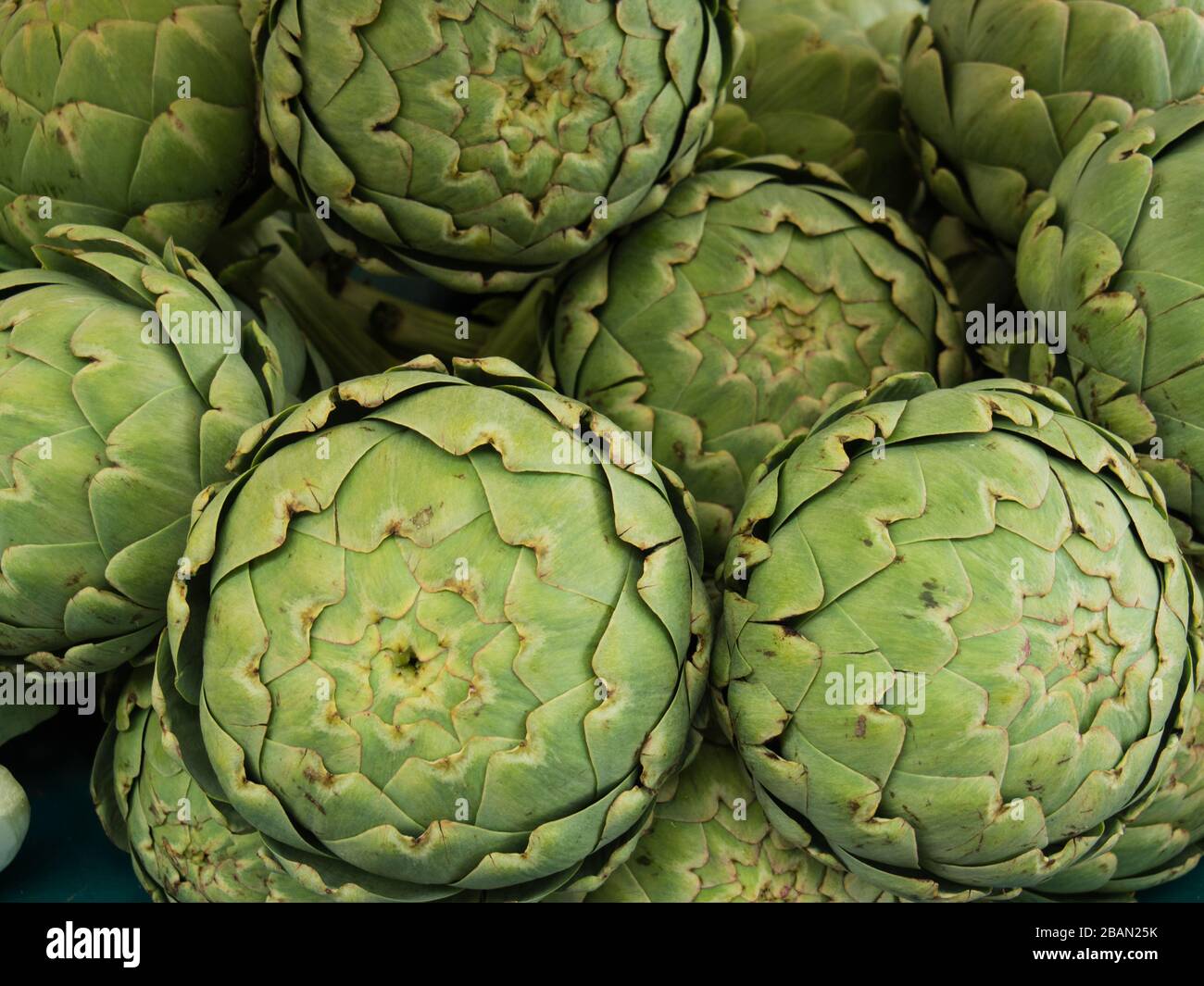 Pile of artichokes on display at a market Stock Photo Alamy