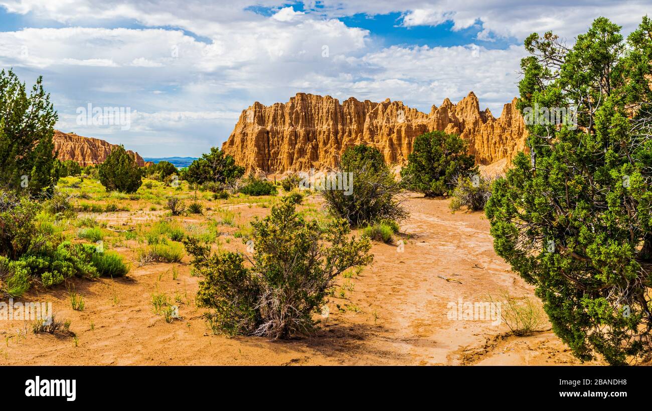 Earth tones and shrubs along the Juniper Draw Trail at Cathedral Gorge ...