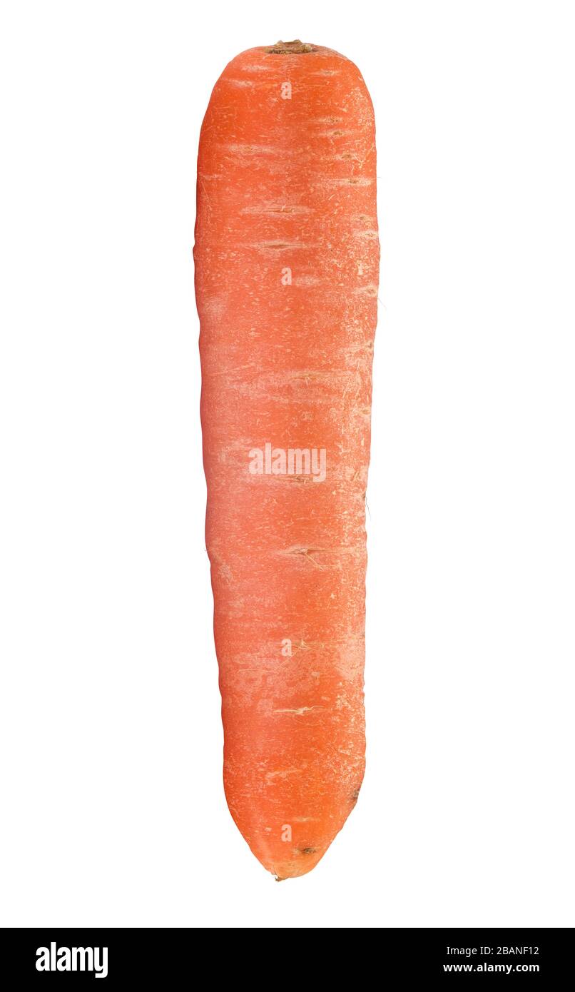 An Isolated Organic And Ugly Carrot Stock Photo