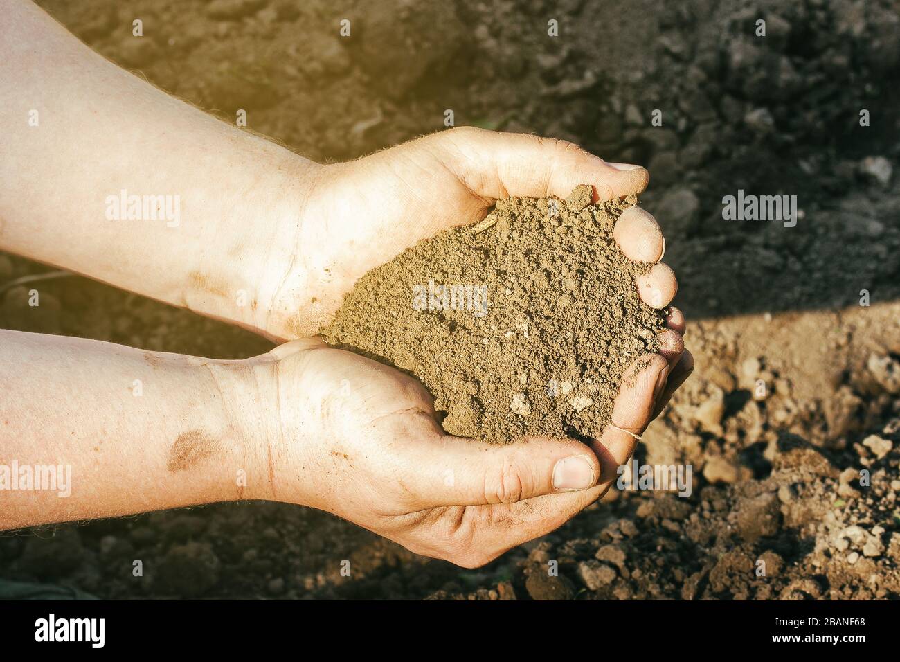 A close up view on soil in mans palms Stock Photo