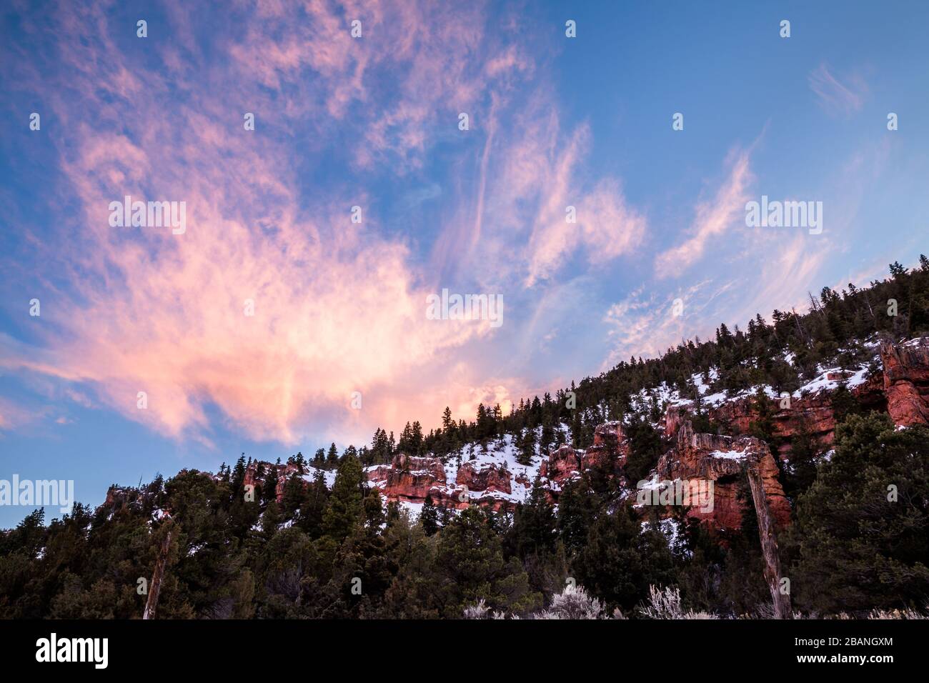 In a remote Utah desert canyon, red cliffs are covered in snow in winter. Overhead whispy clouds are lit up in pink during sunset. Stock Photo