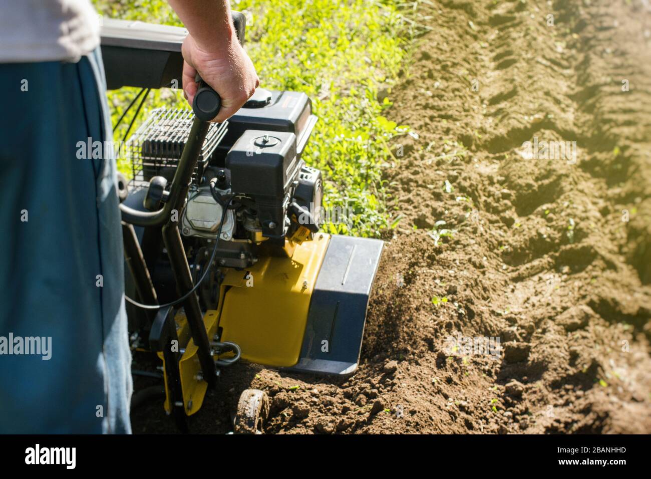 Outdoor garden plow job with a motor cultivator Stock Photo Alamy