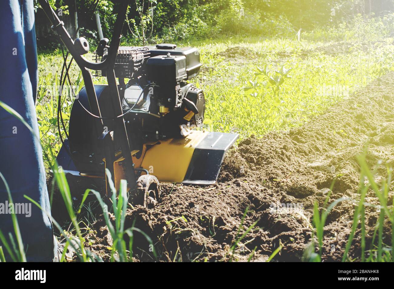 Outdoor Garden Plow Job With Motor Cultivator Stock Photo Alamy outdoor-garden-plow-job-with-motor-cultivator-stock-photo-alamy