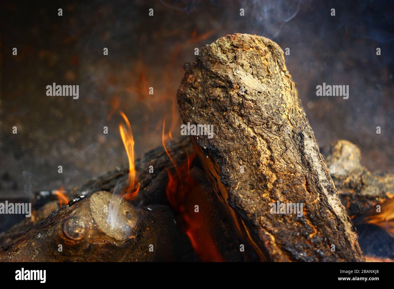 Close up view on a burning woods background Stock Photo