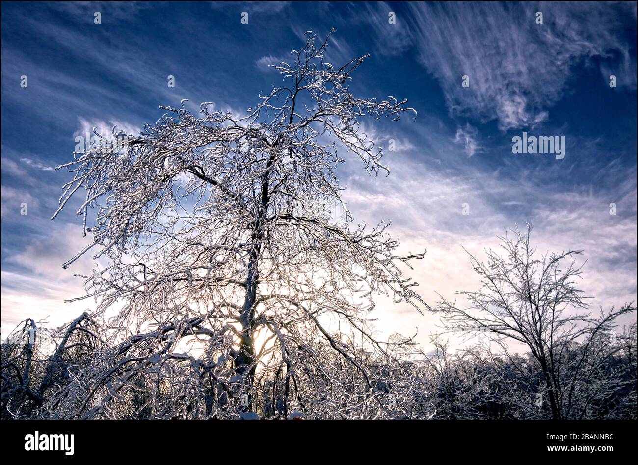 Winter landscape after the freezing rain storm, severe weather Stock ...