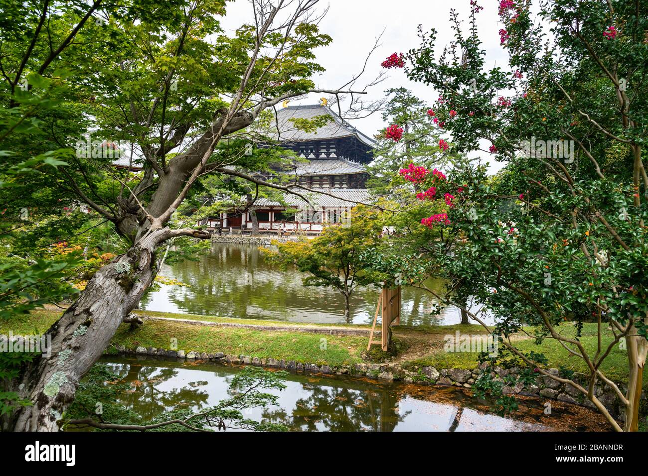 View of the idyllic Kagami-ike pond outside Todaiji Temple, Nara, Japan Stock Photo