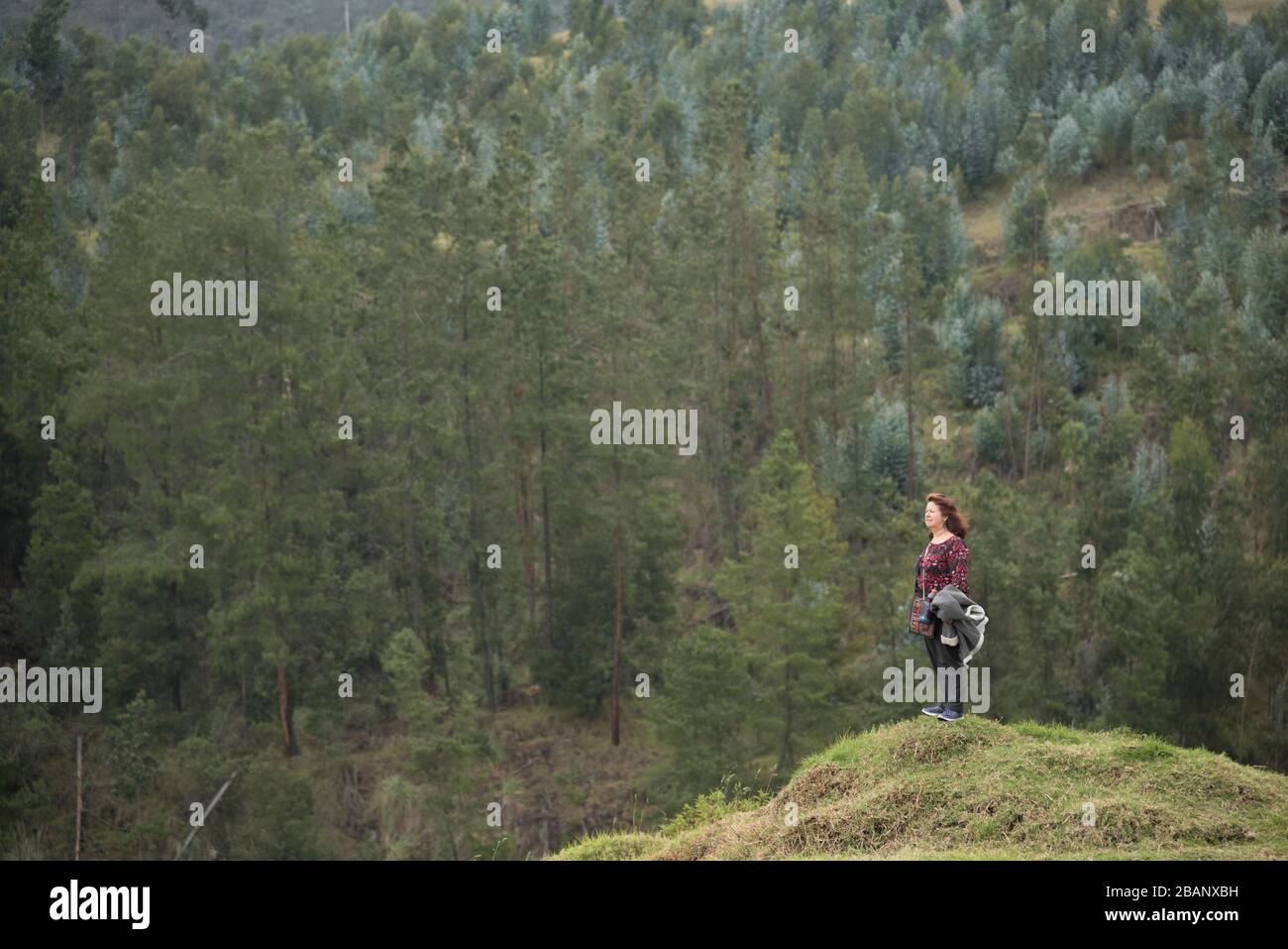 Nemocon, Cundinamarca / Colombia; March 24, 2018: female traveler on top of a hill admiring the scenery. In the background a coniferous forest. Stock Photo