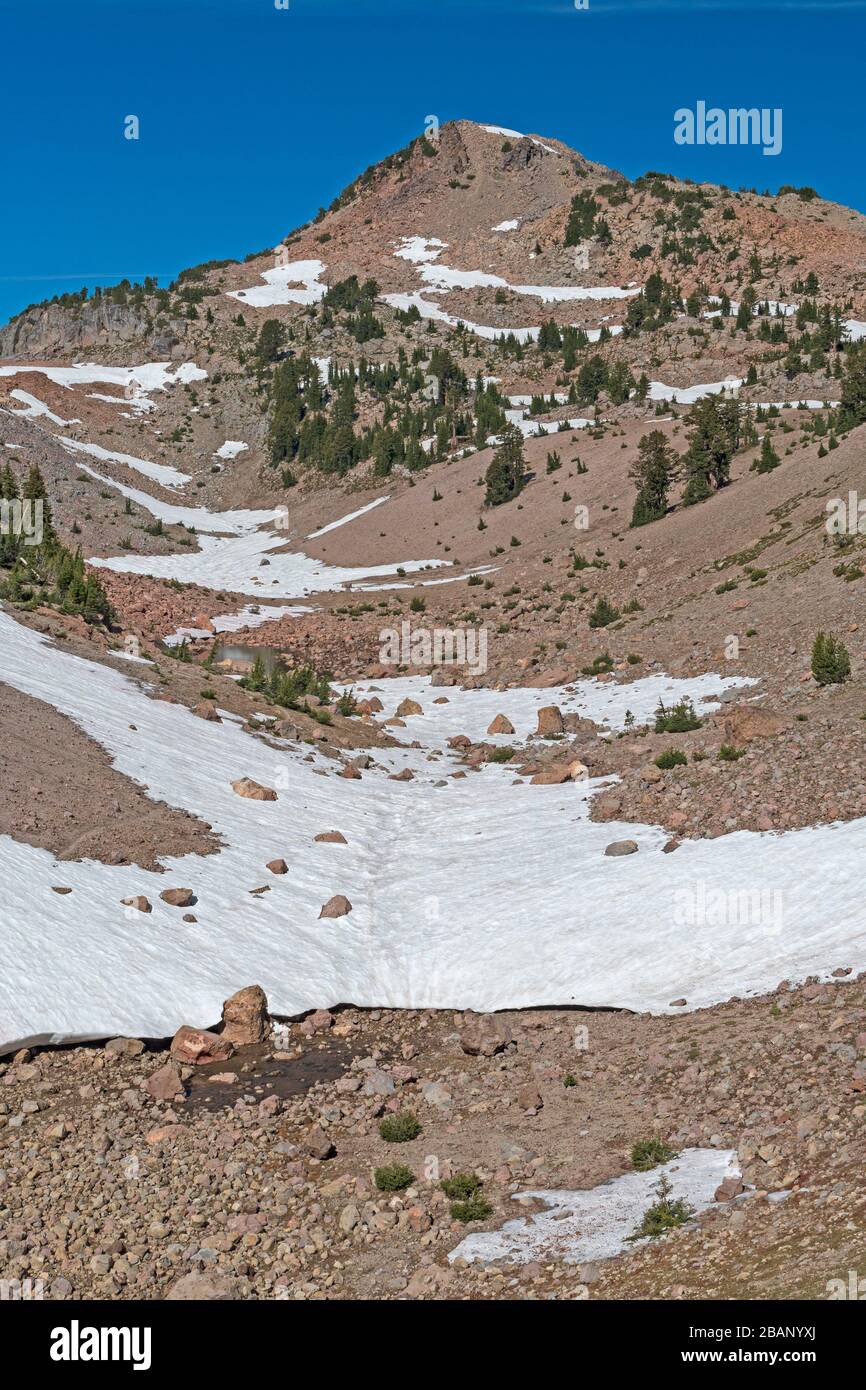 Barren Rocks and Struggling Trees on a Volcanic Landscape in Lassen ...